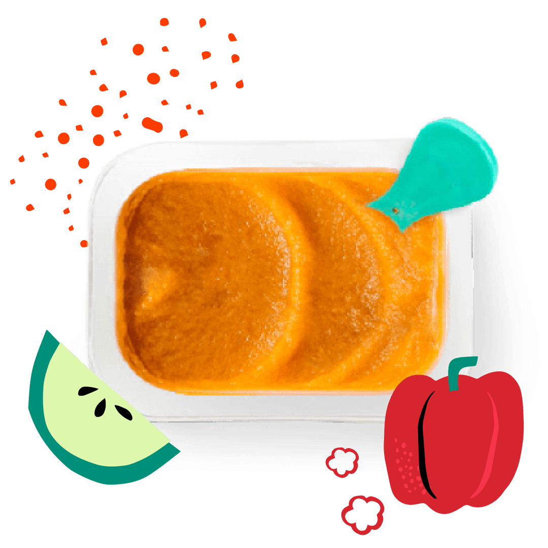 Little Spoon Fresh Organic Baby Food Delivery To Your Door